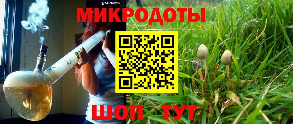 Галлюциногенные грибы мицелий Минусинск